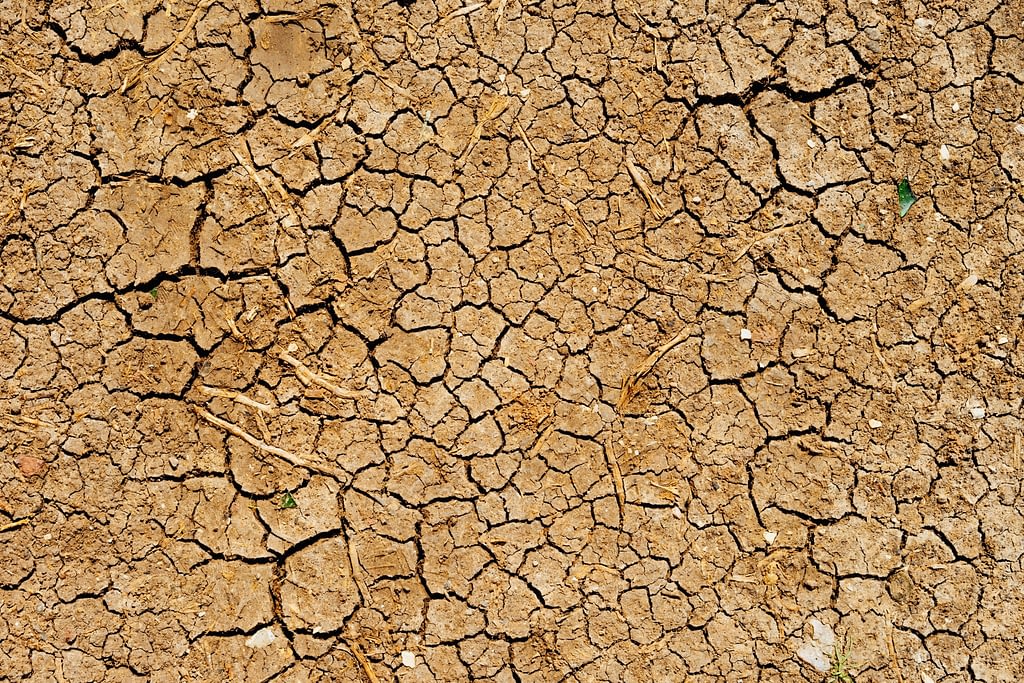 dan gold HJppX zw unsplash